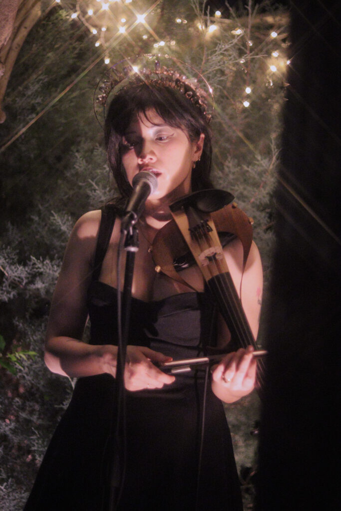 hexpartner dazzle Hexpartner, who is wearing a tiara and a black dress, performs with a stringed instrument.